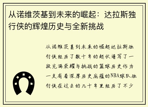 从诺维茨基到未来的崛起：达拉斯独行侠的辉煌历史与全新挑战
